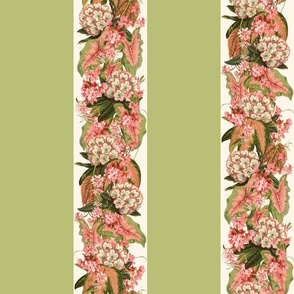 RHODODENDRON STRIPE - RHODODENDRON COLLECTION  (CELERY GREEN)