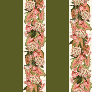 RHODODENDRON STRIPE - RHODODENDRON COLLECTION  (DEEP AVOCADO)