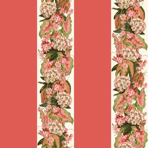 RHODODENDRON STRIPE - RHODODENDRON COLLECTION  (DEEP CORAL)