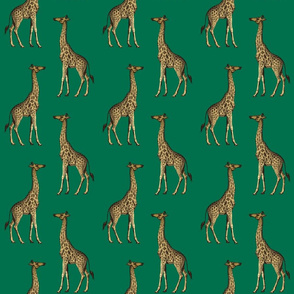 Giraffe Mammalian Emerald Green Wild Animal Africa