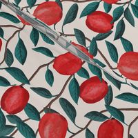 Pomegranate - light - medium