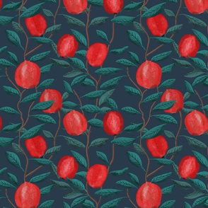 Pomegranate - dark - medium