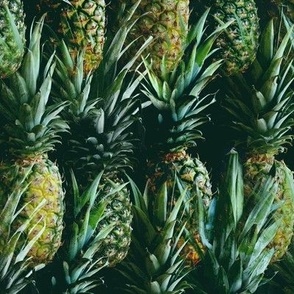 Pineapple Paradise  