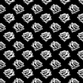 Roses in Black and White (small scale) 