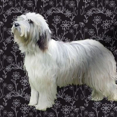 bearded collie Floral fabric