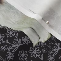 bearded collie Floral fabric