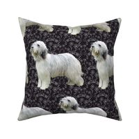 bearded collie Floral fabric
