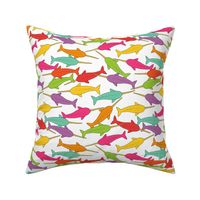 Bright Rainbow Narwhal Pattern on White