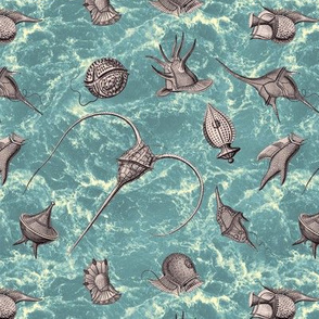 Ernst Haeckel Lavender Grey Peridinea Over Teal Water
