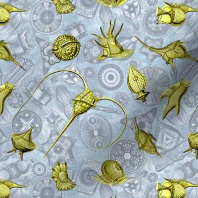 Ernst Haeckel Yellow  Peridinium over Blue Diatom