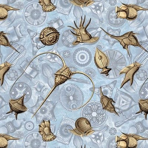 Ernst Haeckel Sepia Peridinium over Blue Diatom