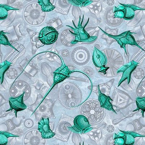 Ernst Haeckel Aqua  Peridinium over Blue Diatom