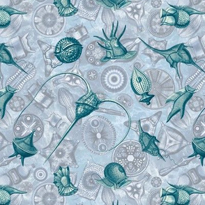 Ernst Haeckel Cerulean  Peridinium over Blue Diatom