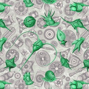 Ernst Haeckel Green Peridinium over Aubergine Diatoms