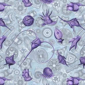 Ernst Haeckel Purple Peridinium over Blue Diatom