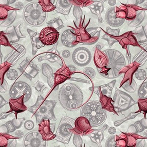 Ernst Haeckel Red Peridinium over Aubergine Diatoms