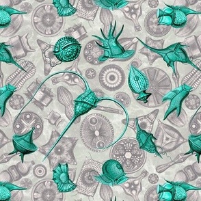 Ernst Haeckel Aqua Peridinium over Aubergine Diatoms