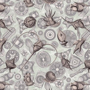 Ernst Haeckel Lavender Gray Peridinium over Aubergine Diatoms