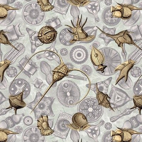 Ernst Haeckel Sepia Peridinium over Aubergine Diatoms