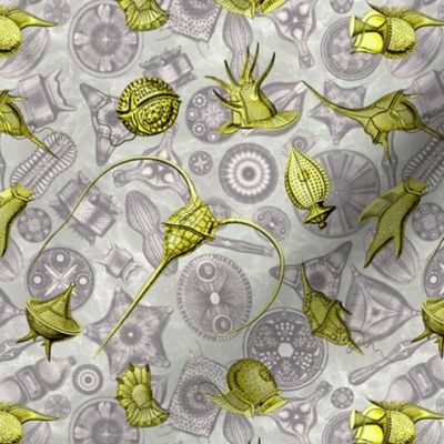 Ernst Haeckel Yellow Peridinium over Aubergine Diatoms