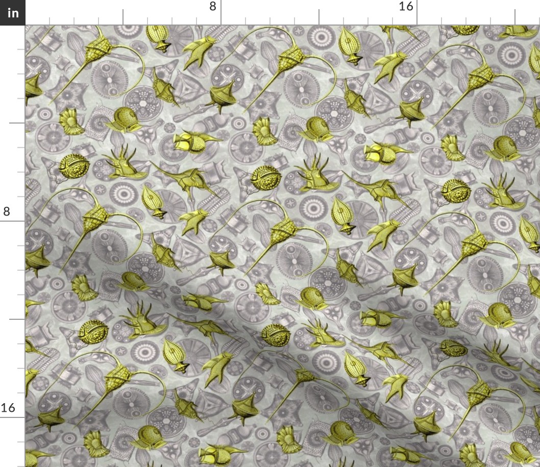 Ernst Haeckel Yellow Peridinium over Aubergine Diatoms