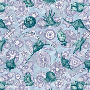 Ernst Haeckel Cerulean Peridinium over Navy Diatom