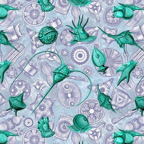 Ernst Haeckel Aqua Peridinium over Navy Diatom