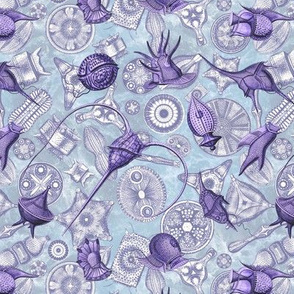 Ernst Haeckel Purple Peridinium over Navy Diatom