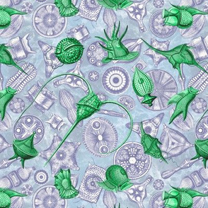 Ernst Haeckel Green Peridinium over Navy Diatom