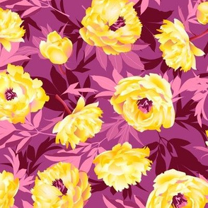 yellow peonies on pink