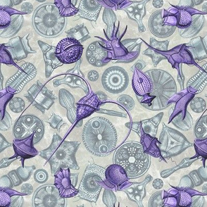 Ernst Haeckel Purple Peridinium over Cerulean Diatom