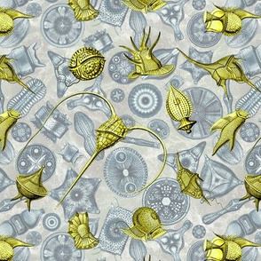 Ernst Haeckel Yellow Peridinium over Cerulean Diatom