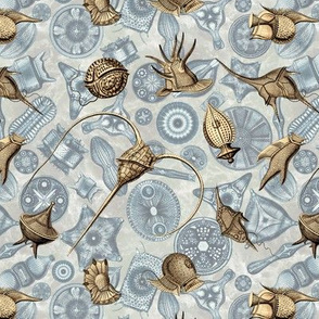 Ernst Haeckel Sepia Peridinium over Cerulean Diatom