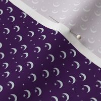 Silvery Crescent Moon with Stars on  Purple Background - Assymetric Spacing