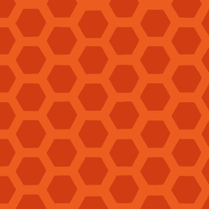 Honeycomb on Orange