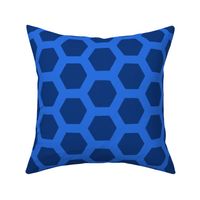Honeycomb on Blue