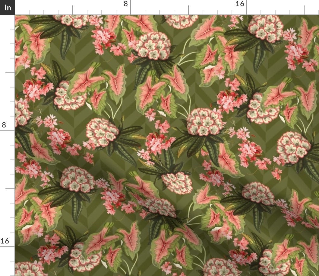 RHODODENDRON CHEVRON - RHODODENDRON COLLECTION (DEEP AVOCADO)