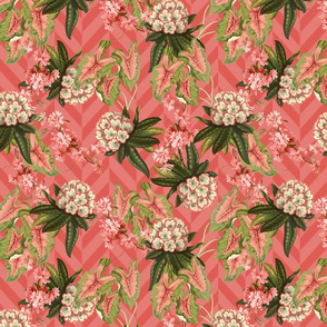 RHODODENDRON CHEVRON - RHODODENDRON COLLECTION (DEEP CORAL)