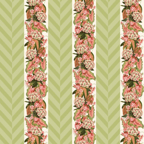 RHODODENDRON CHEVRON STRIPE - RHODODENDRON COLLECTION (CELERY GREEN)