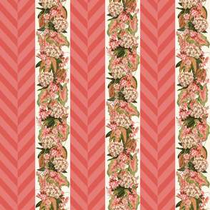 RHODODENDRON CHEVRON STRIPE - RHODODENDRON COLLECTION (DEEP CORAL)