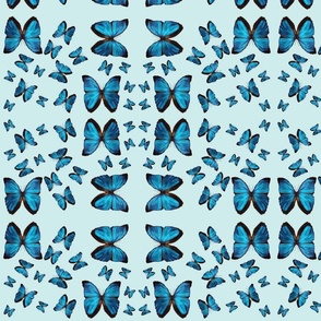 Baby Blue with Blue Butterflies Fabric design-ch-ch