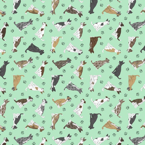 Tiny assorted Border Whippets - green