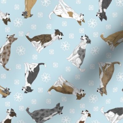 Tiny assorted Border Whippets - winter snowflakes