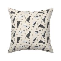 Tiny black and white Border Whippets - tan