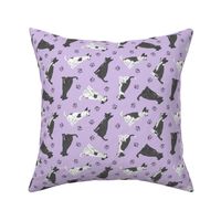 Tiny black and white Border Whippets - purple