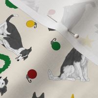 Tiny black and white Border Whippets - Christmas