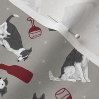 Tiny black and white Border Whippets - wine