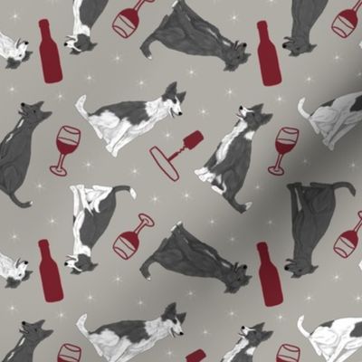 Tiny black and white Border Whippets - wine