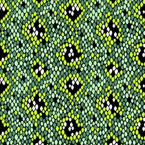 Snakeskin Pattern (Green) – Extra Small Scale