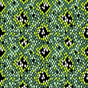 Snakeskin Pattern (Green) – Small Scale